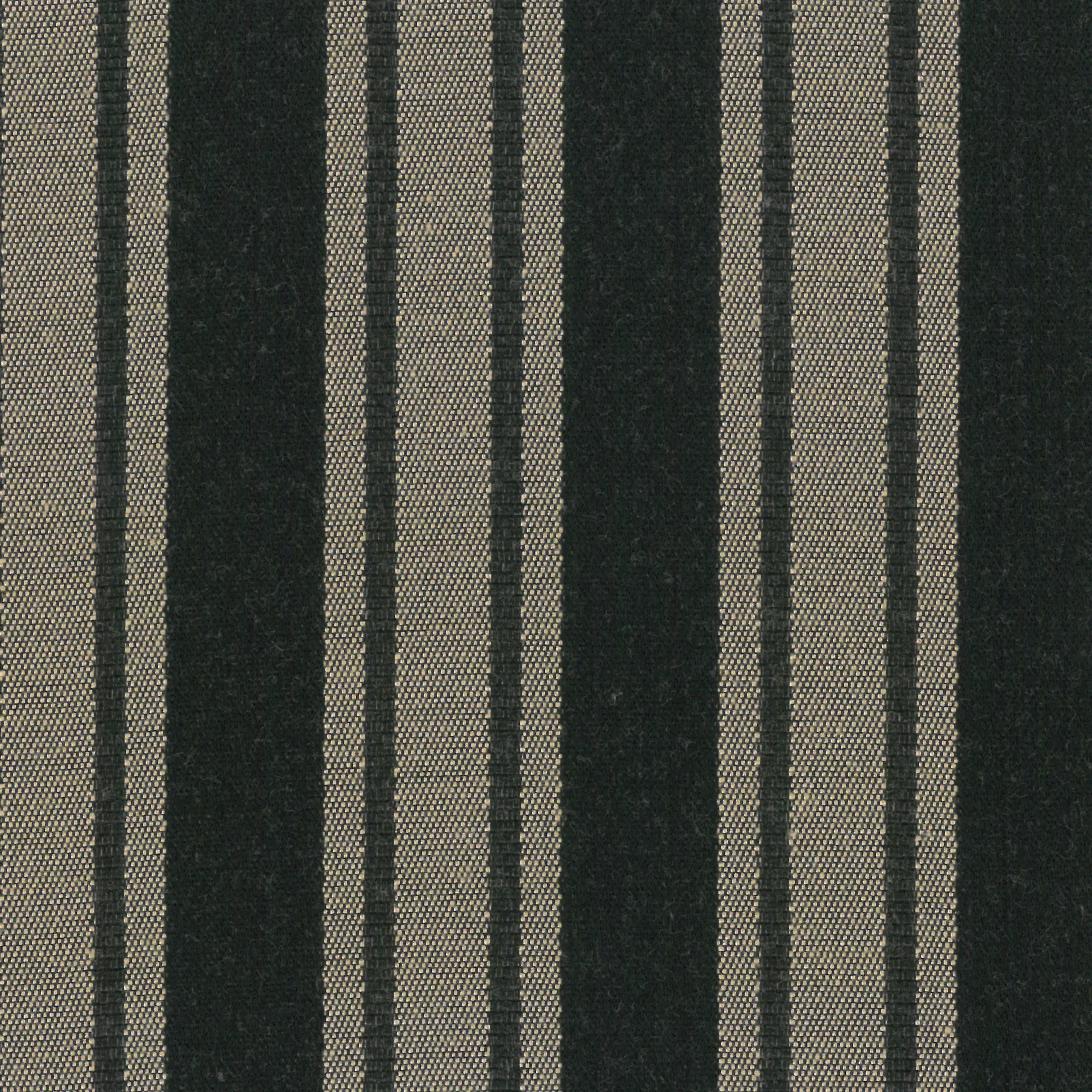 Black | Verdi