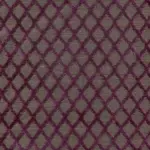 Violet 49 | Lucian