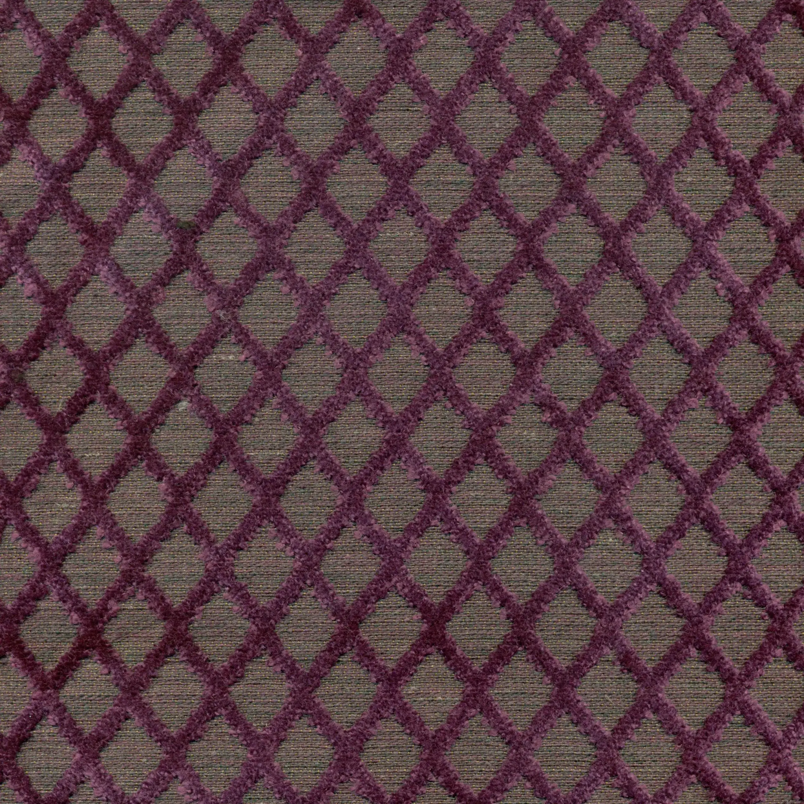 Violet 49 | Lucian