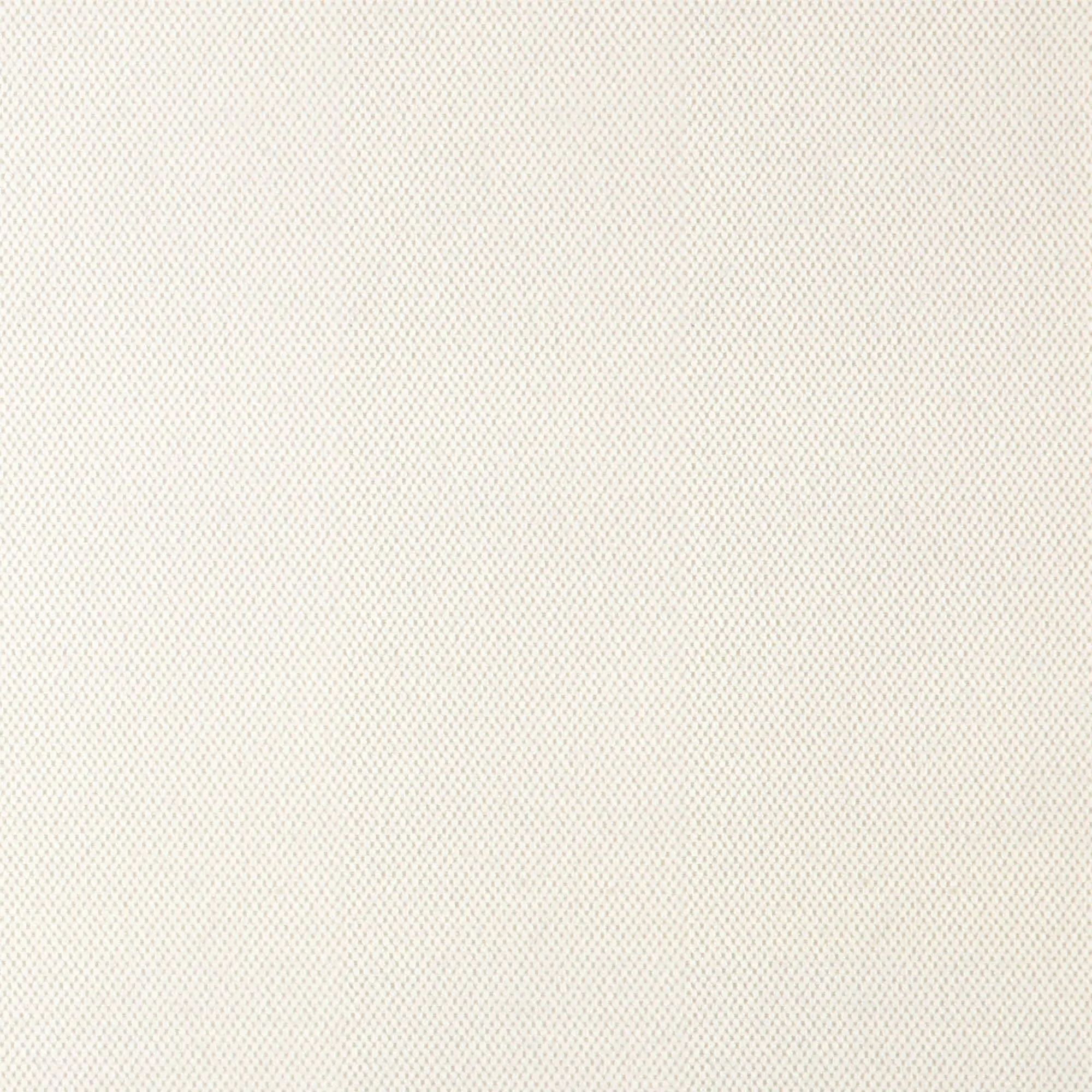 Snow 109 | Robust