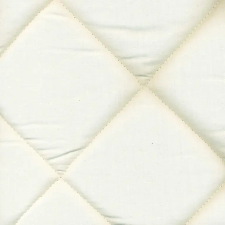 Ivory 02