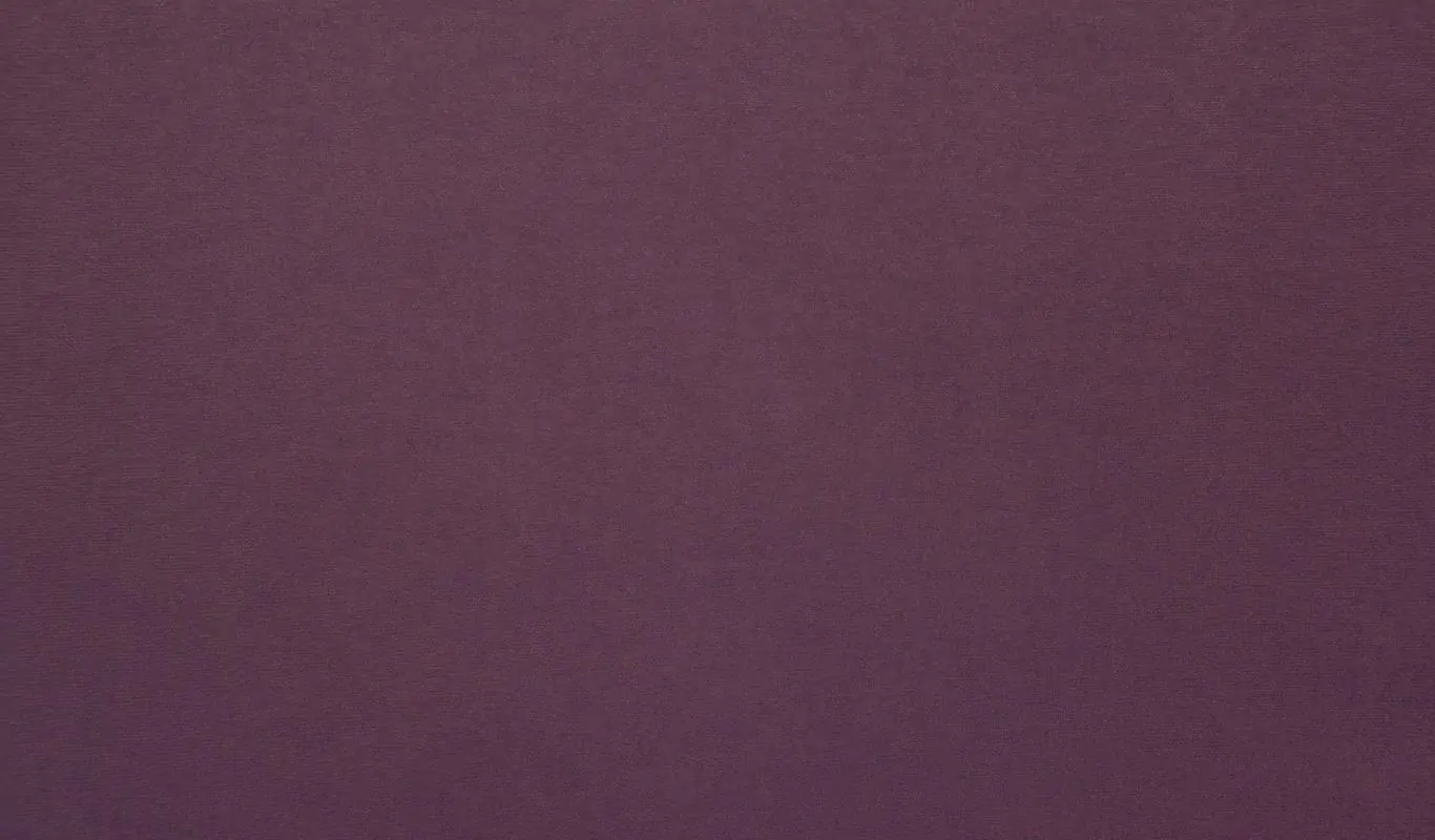 Plum 25 | Scot FR
