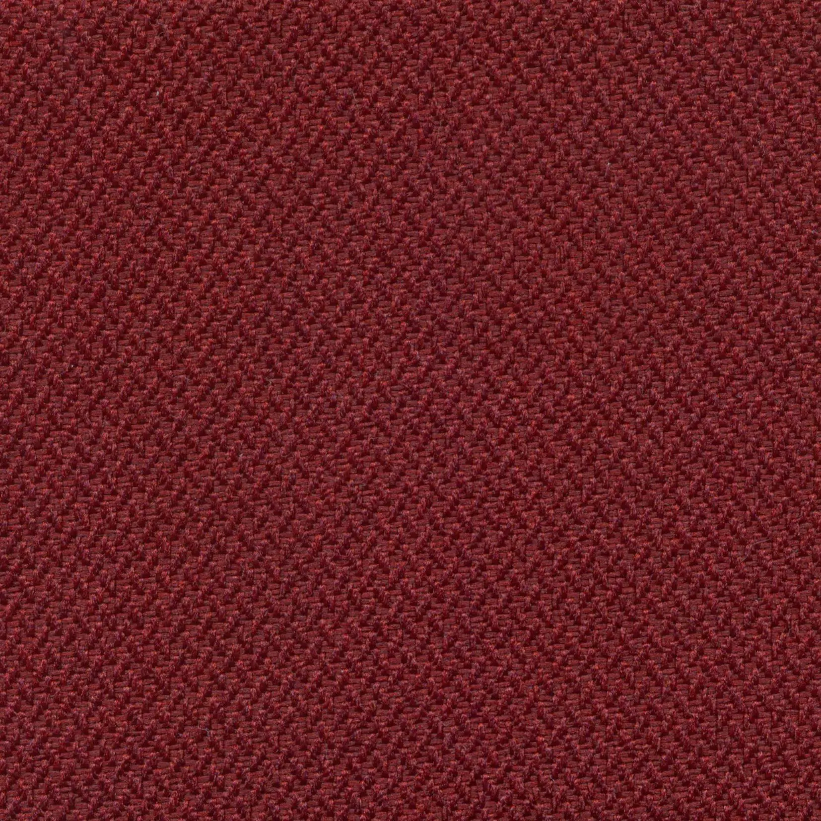 Vino 200 | Meteor