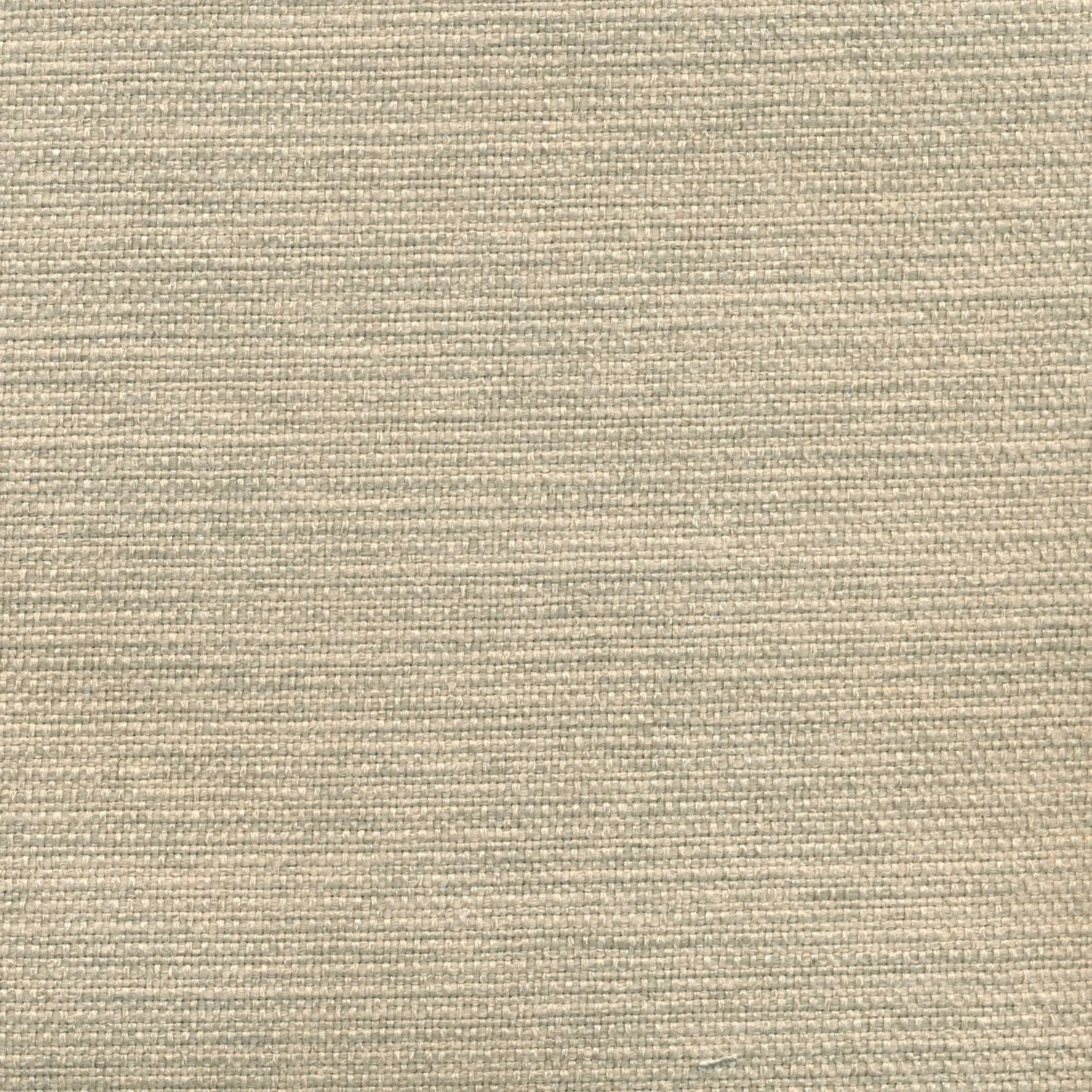 Dove 02 | Linthic