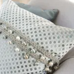 Silver 201 | Ostracion