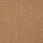 Apricot 09 | Salak