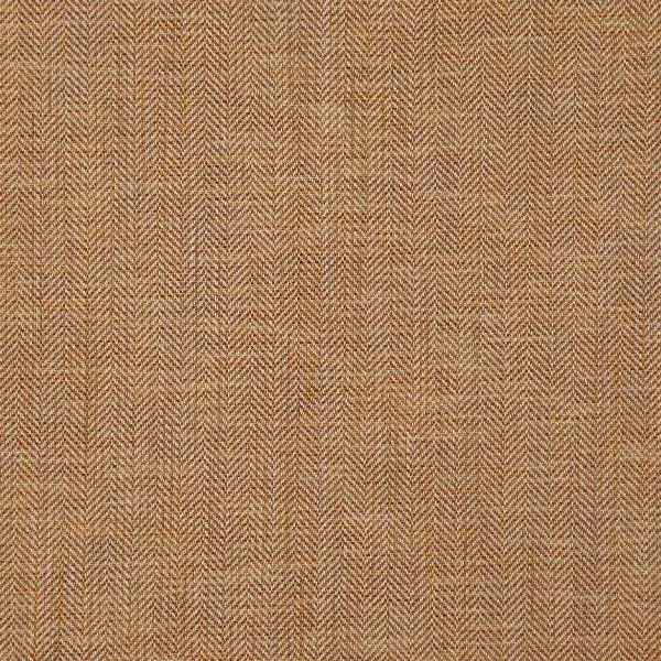 Apricot 09