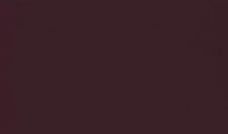 Plum 28