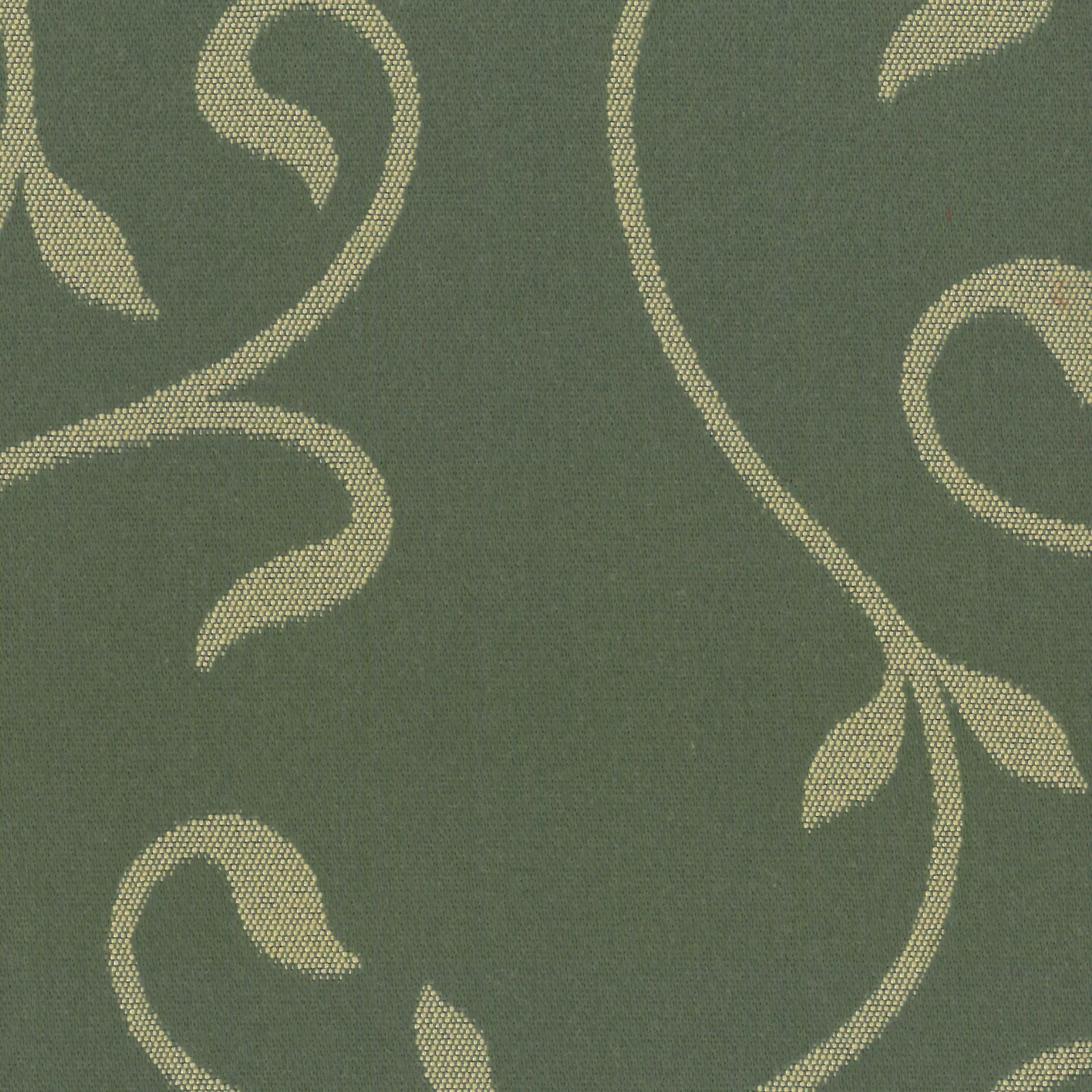 Green | Silvia