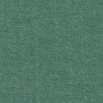 Lichen 240 | Saute