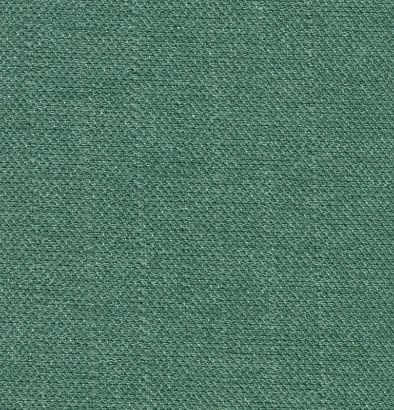 Lichen 240