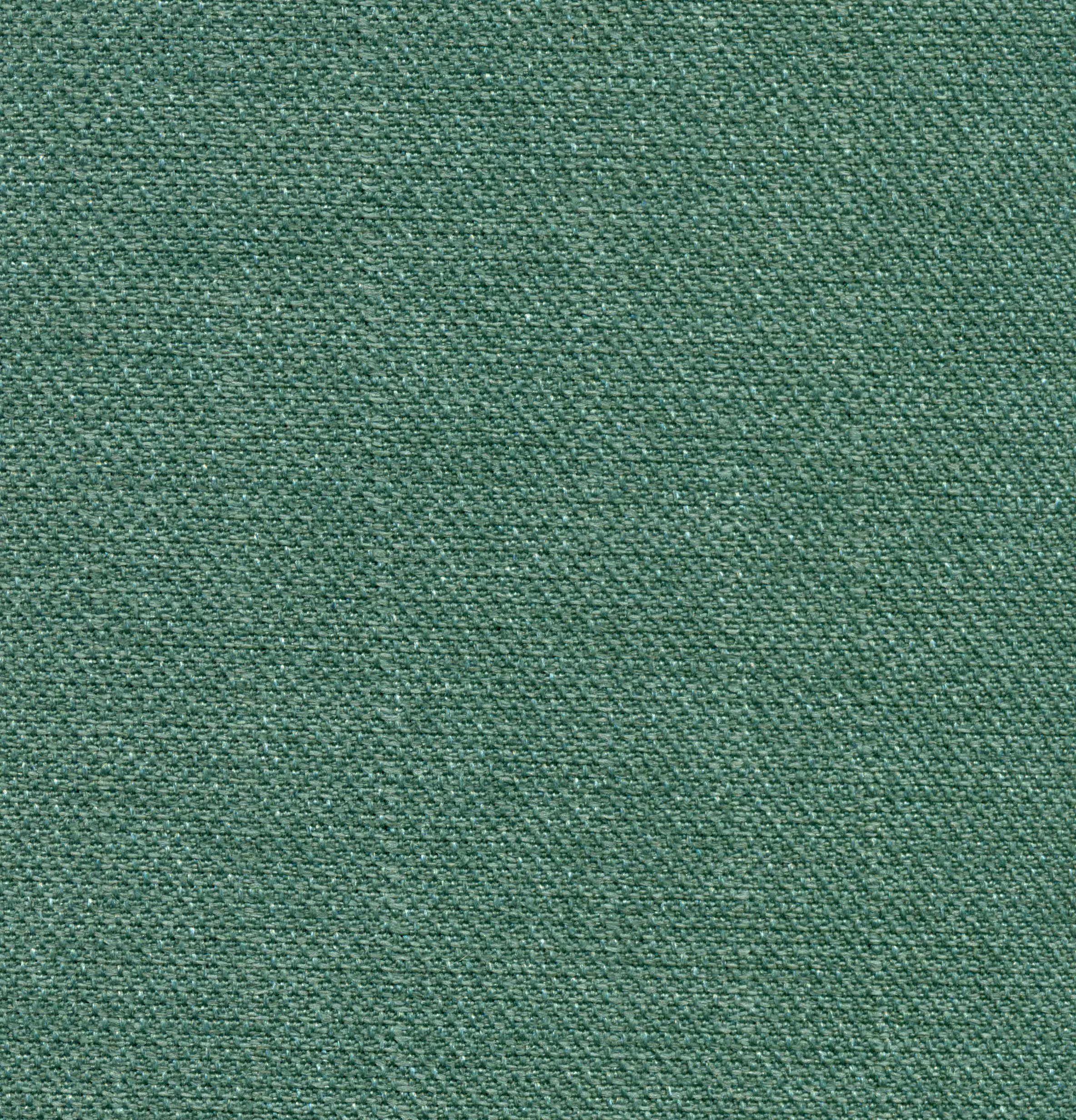 Lichen 240 | Saute