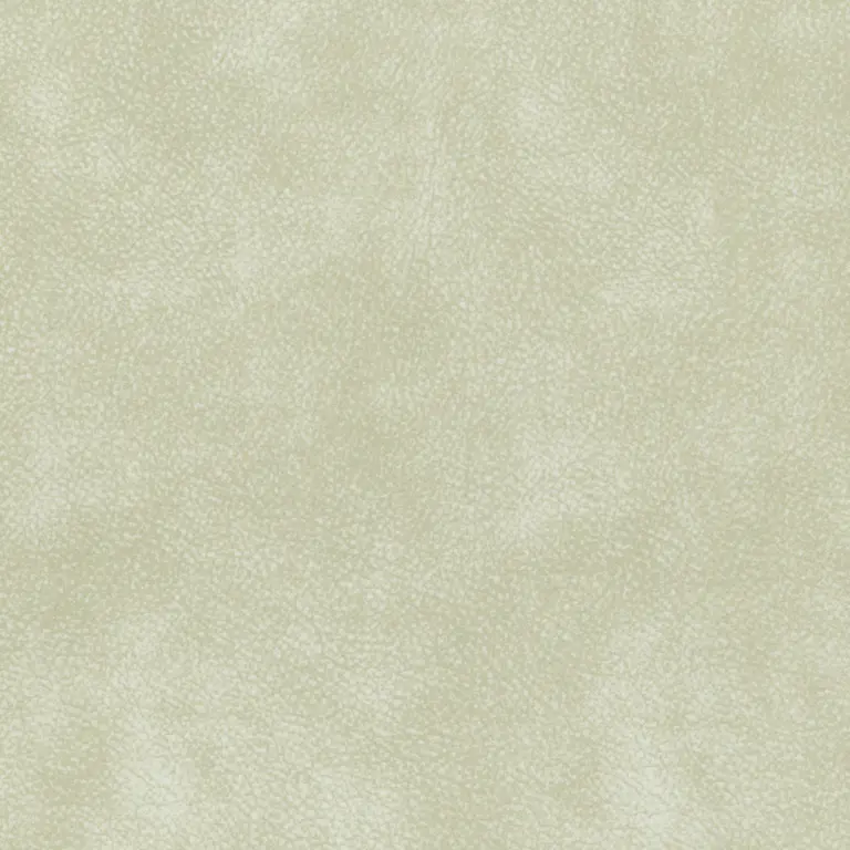 Bone 01