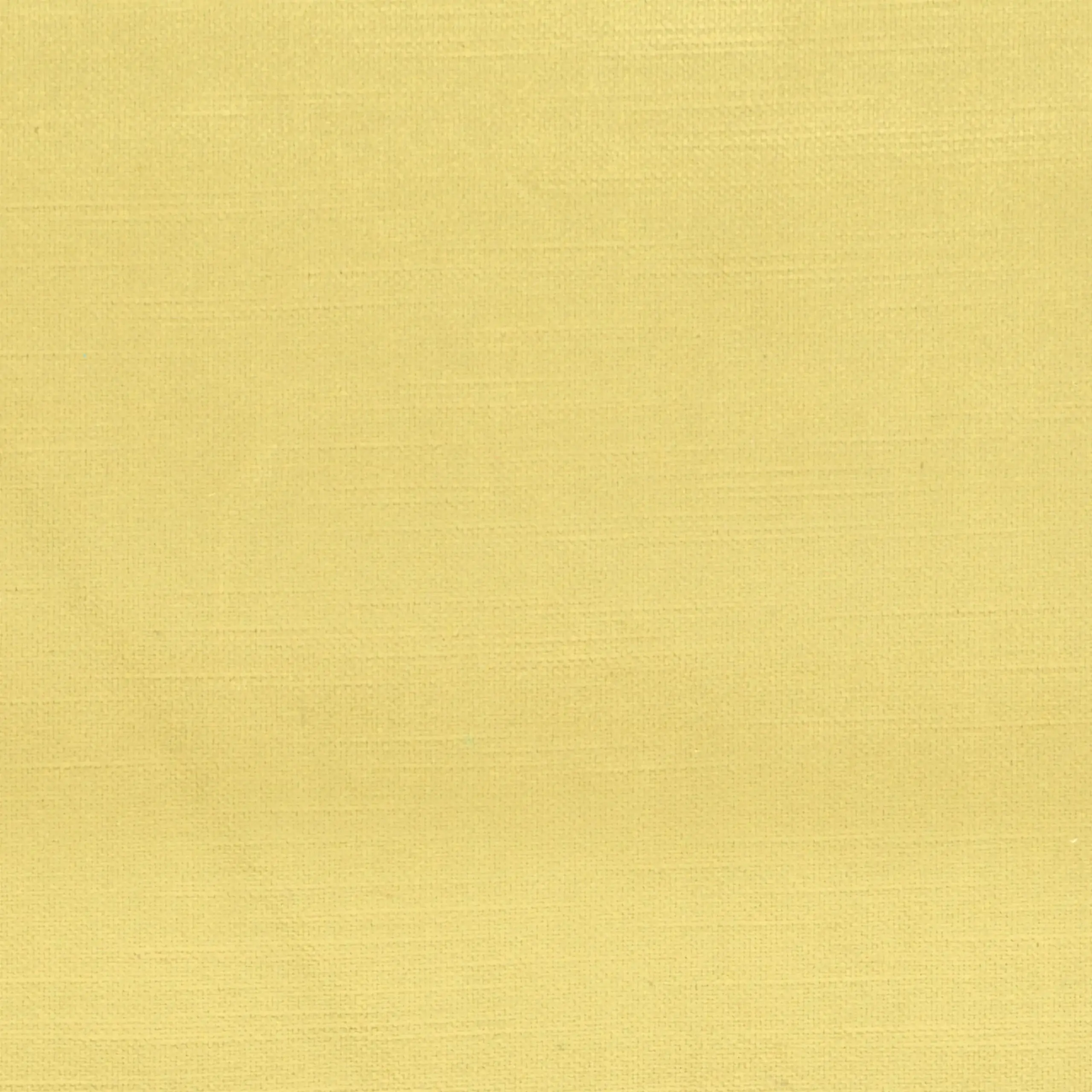 Gold 709 | York