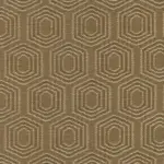 Bronze 24 | Vigor