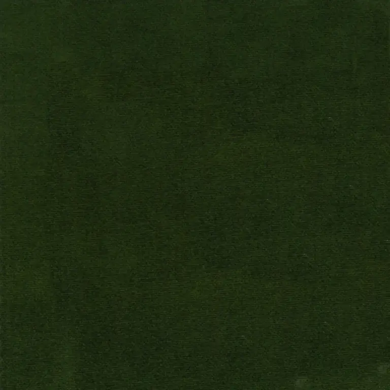 Zielen 13