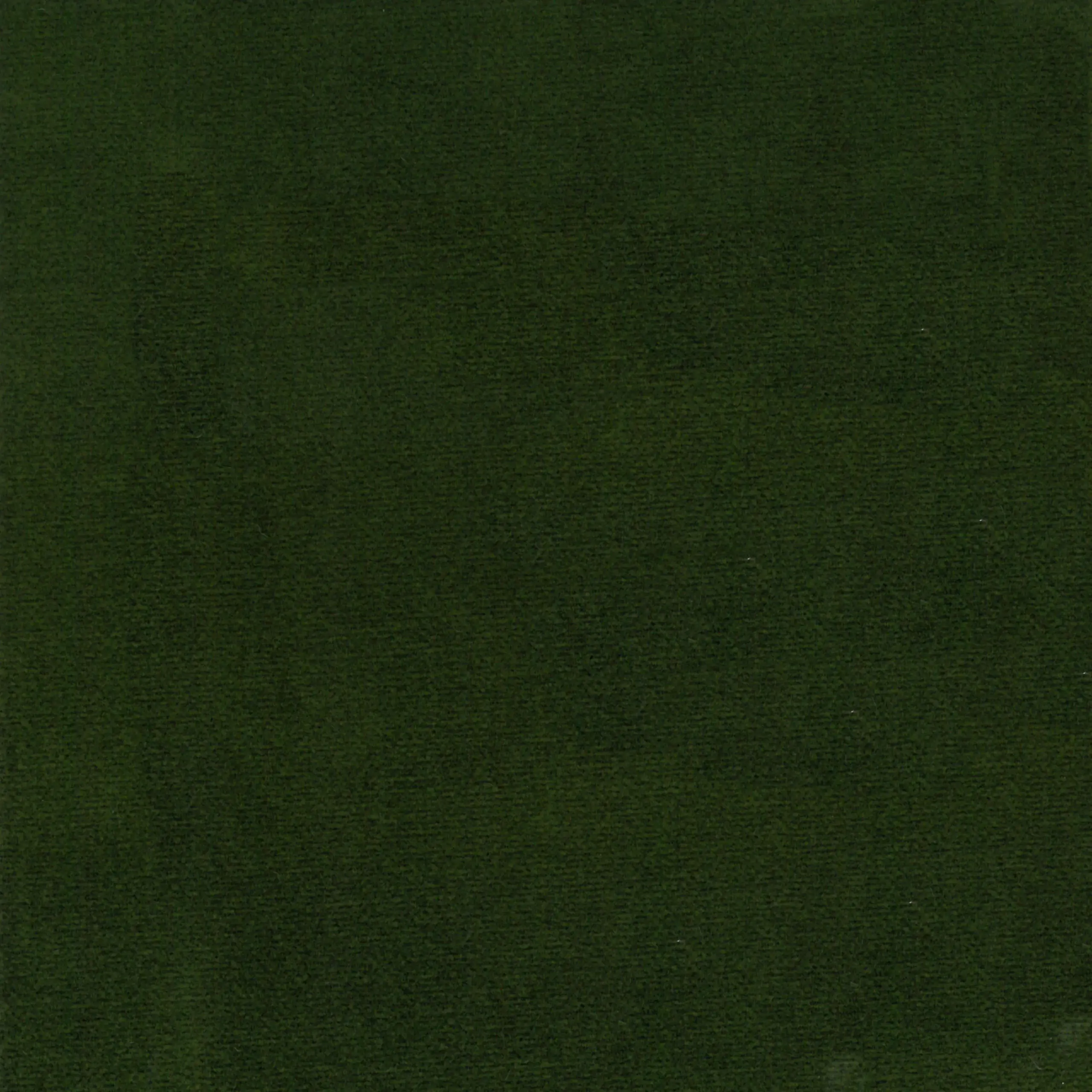 Zielen 13 | Oregano