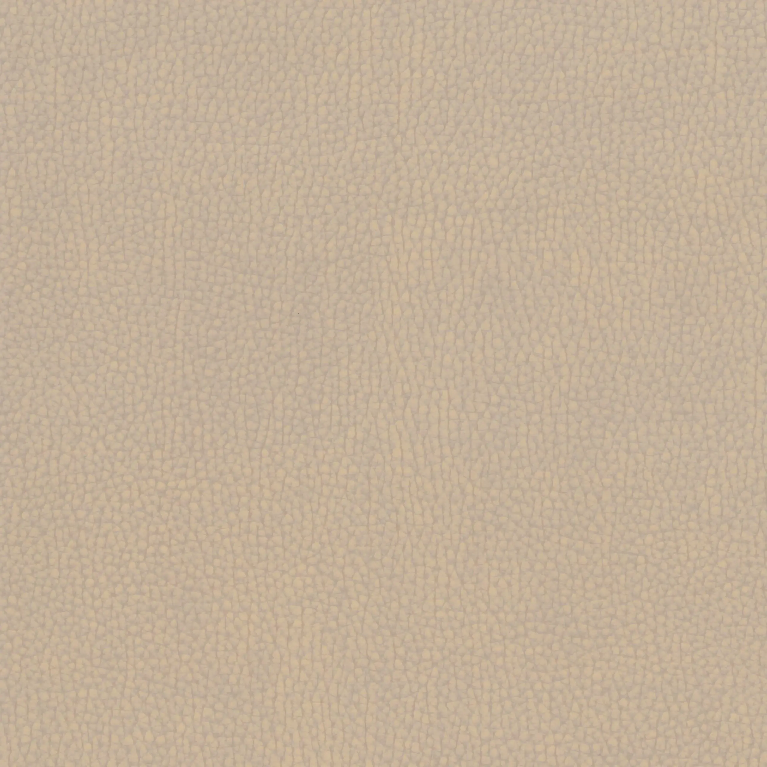 Sesame 041 | Nestor