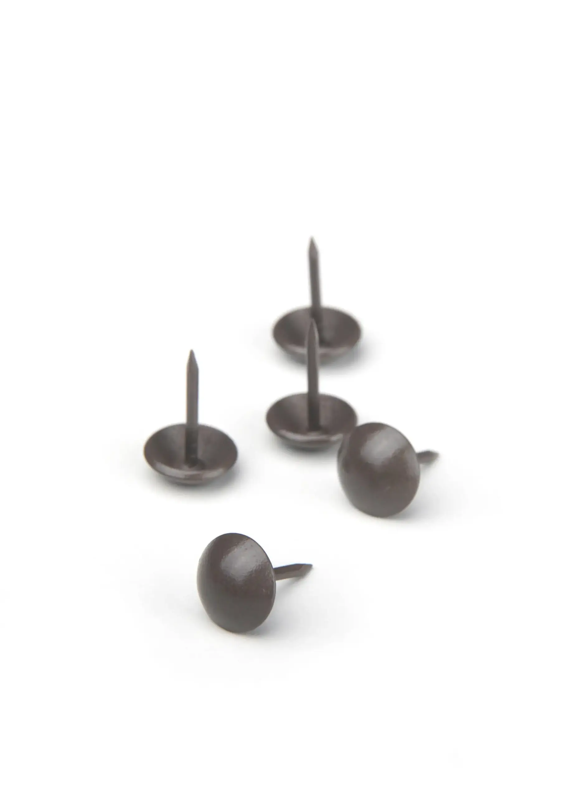 Nail NC Brown 202 | Nails & Buttons