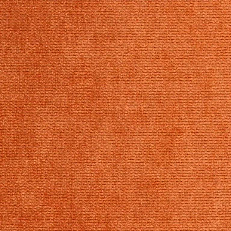 Apricot 36