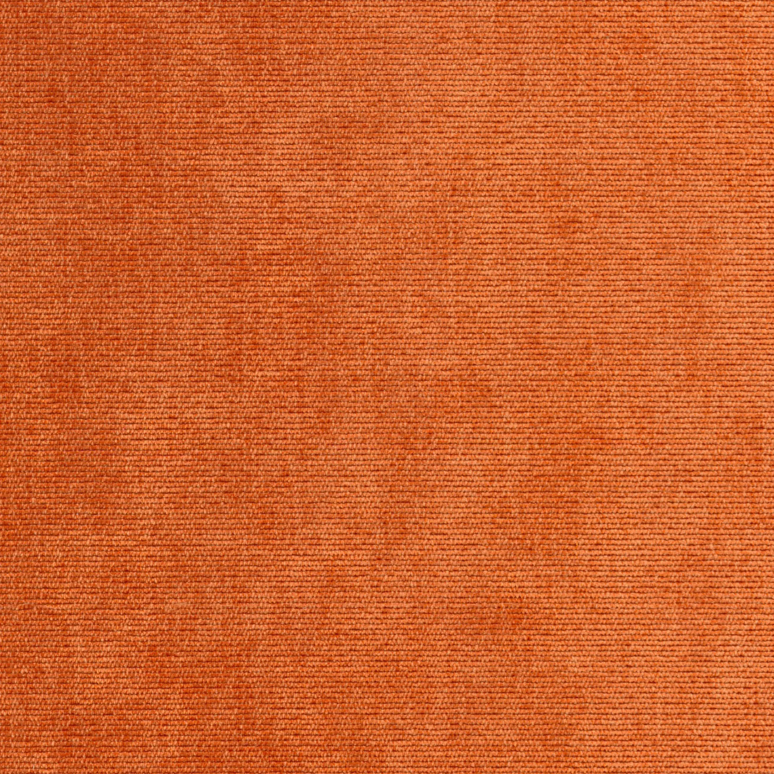 Apricot 36 | Verner
