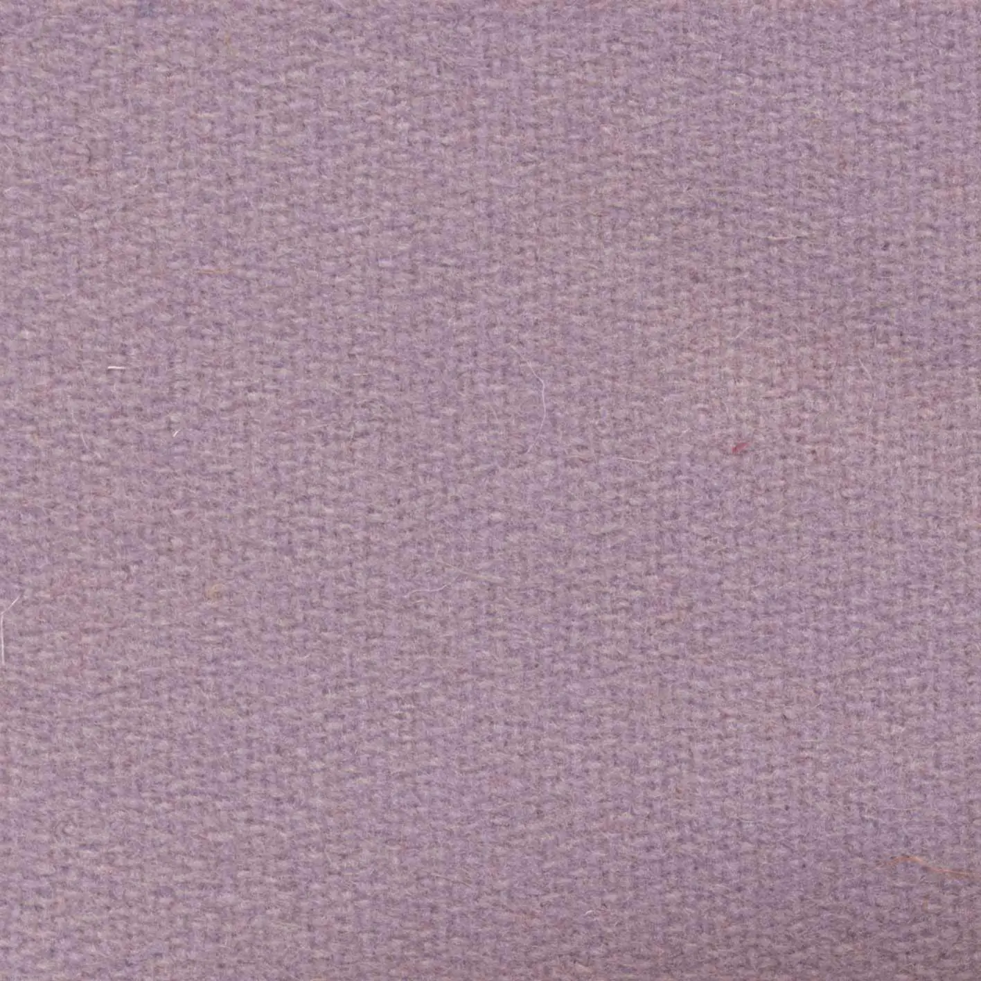 Lilac H738 | Savoy FR