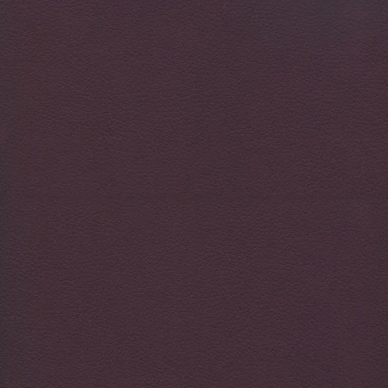 Aubergine