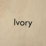 Color - Ivory | HORECA
