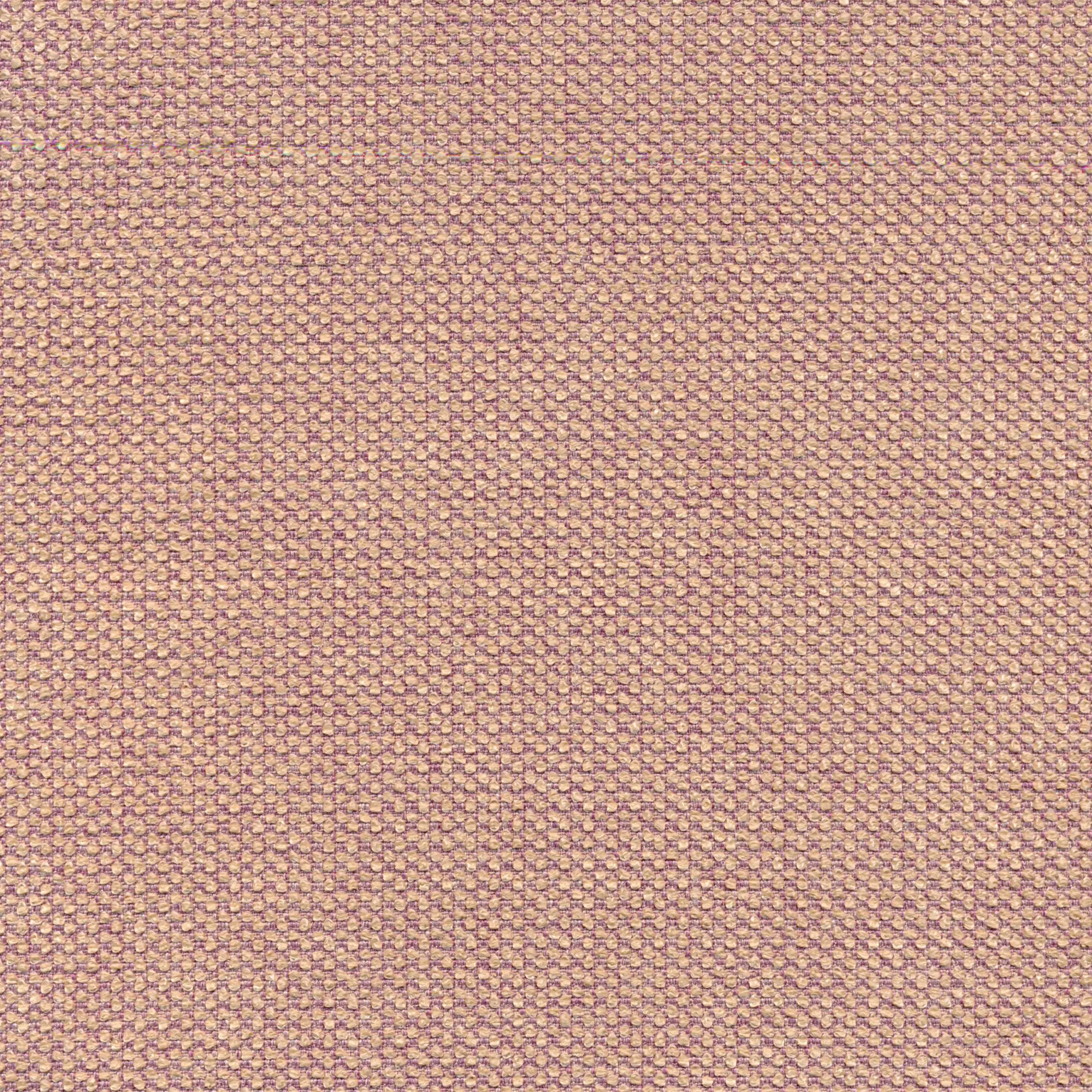 Blush 31 | Onyx