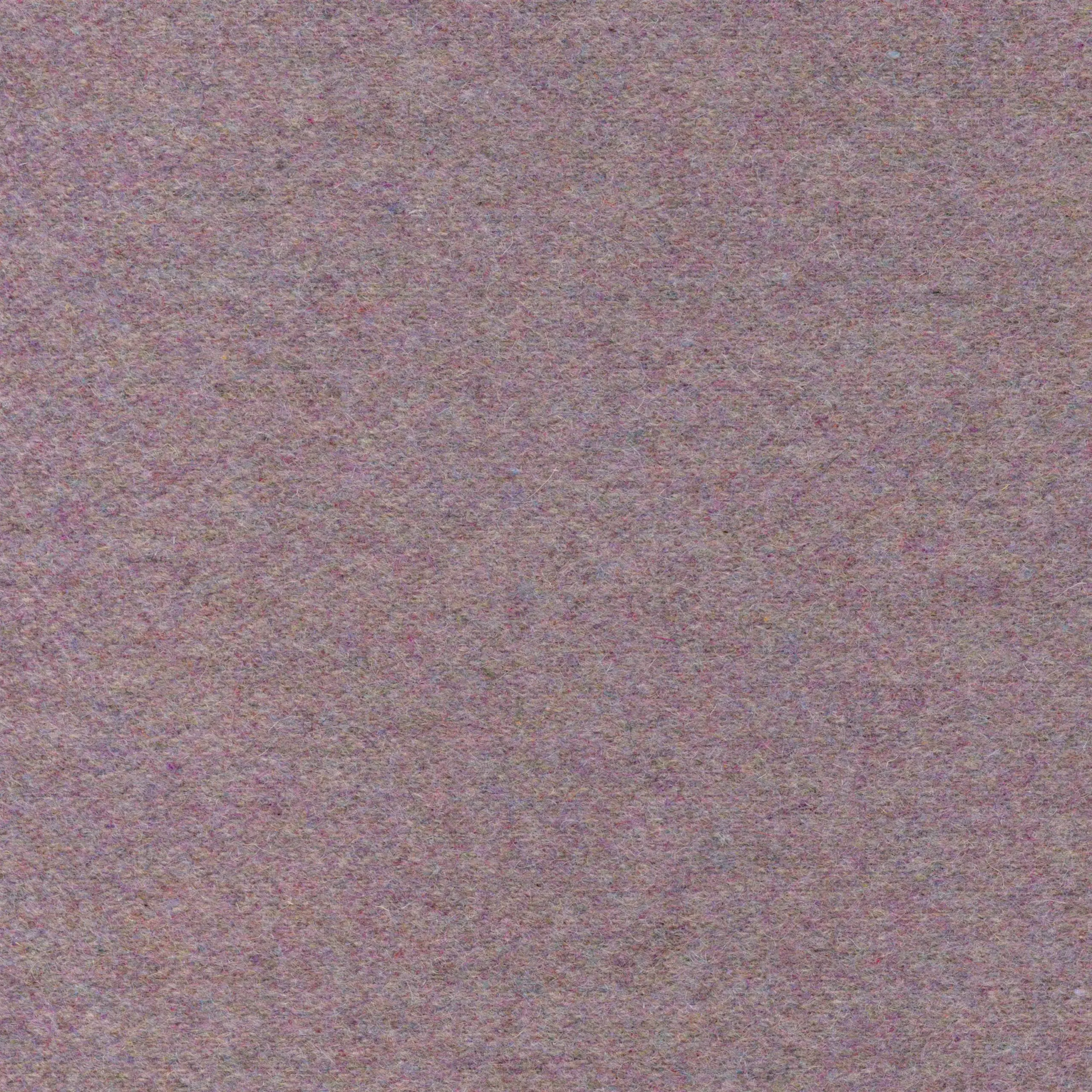 Irys 38 | Wool