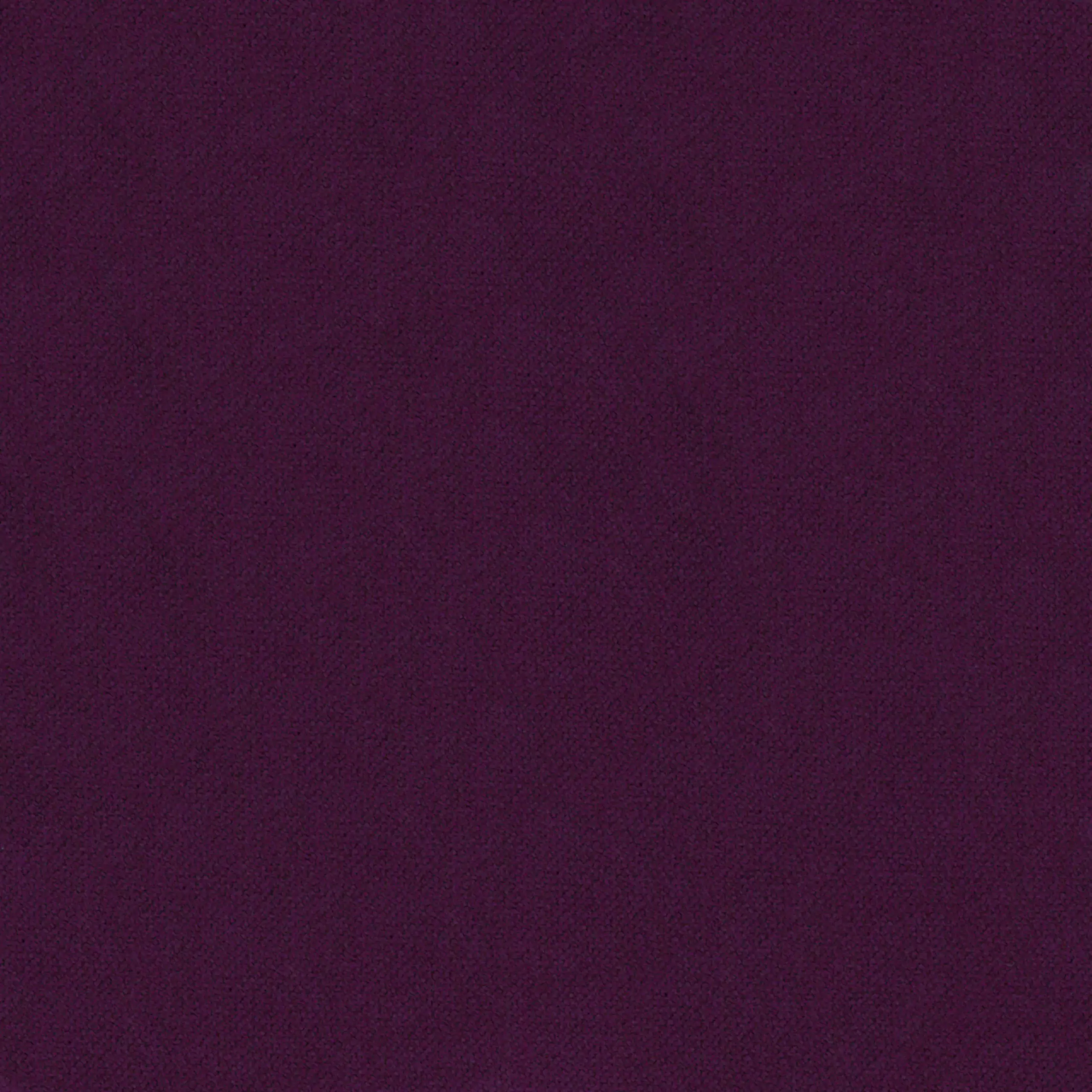Eggplant 100 | Severin