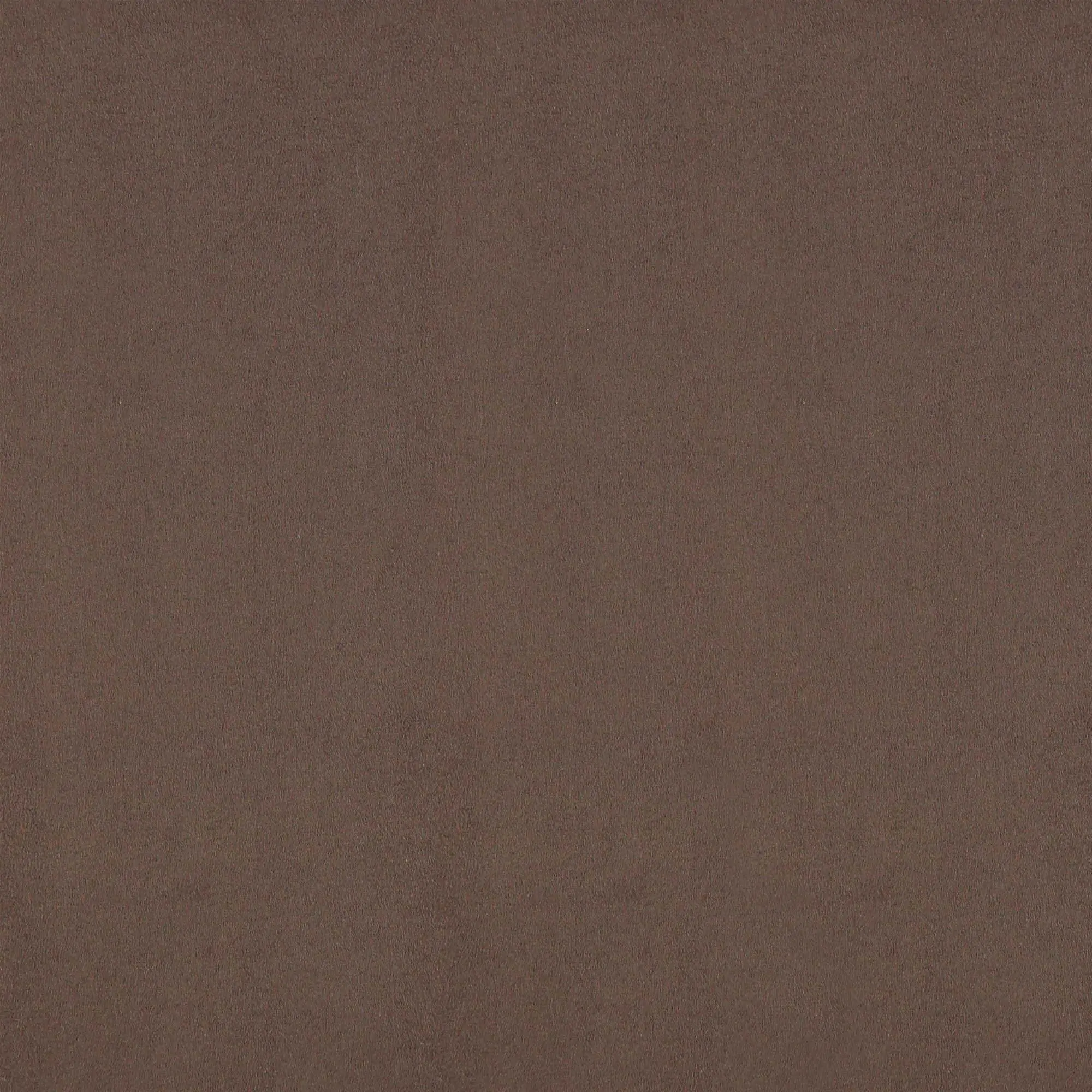 Chestnut 015 | Speedo