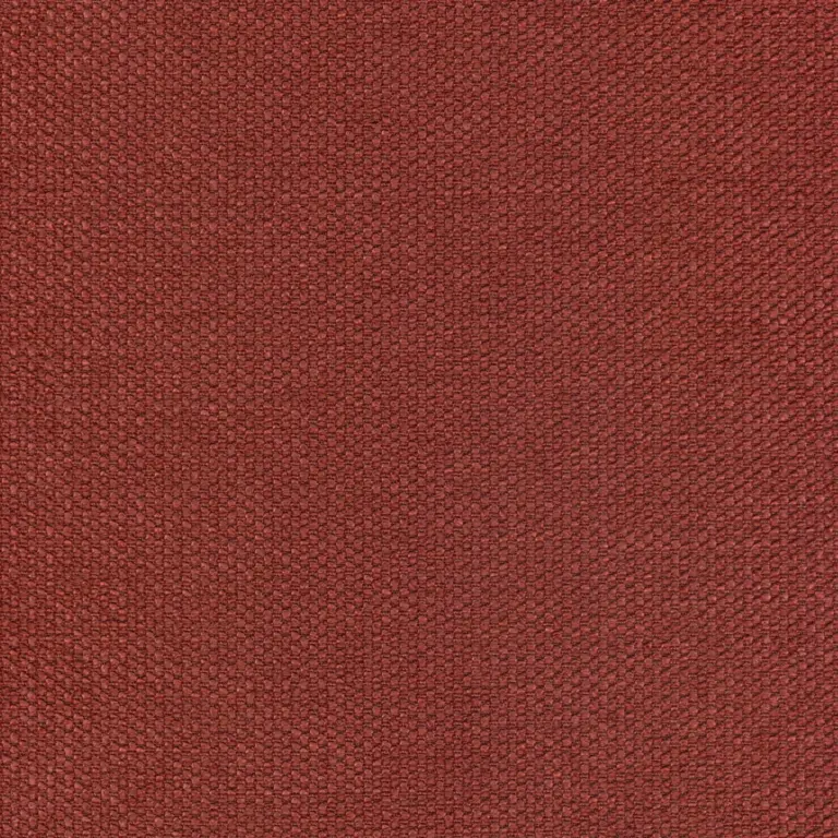 Vino 29