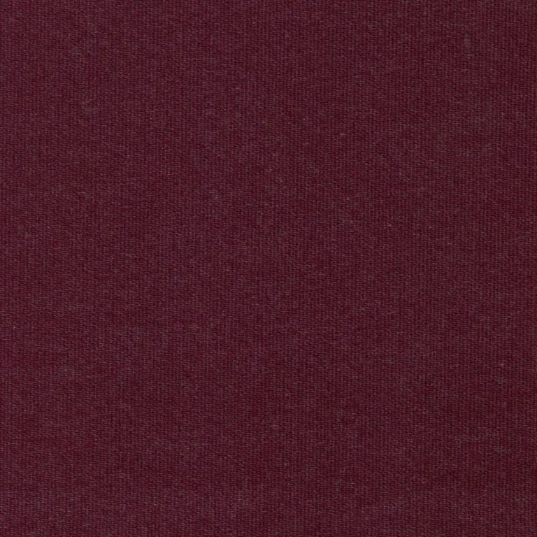 Fuchsia 33