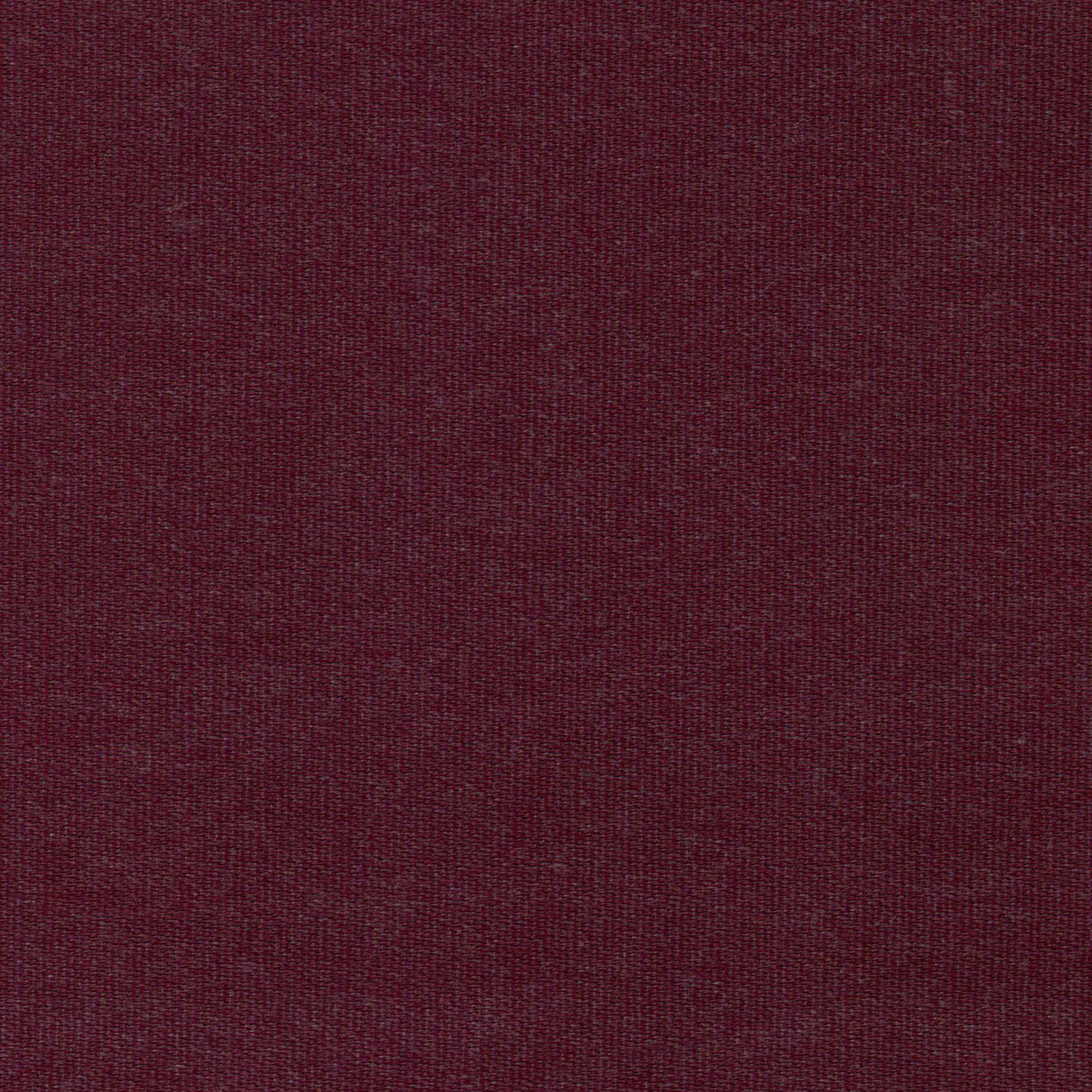Fuchsia 33 | Melba