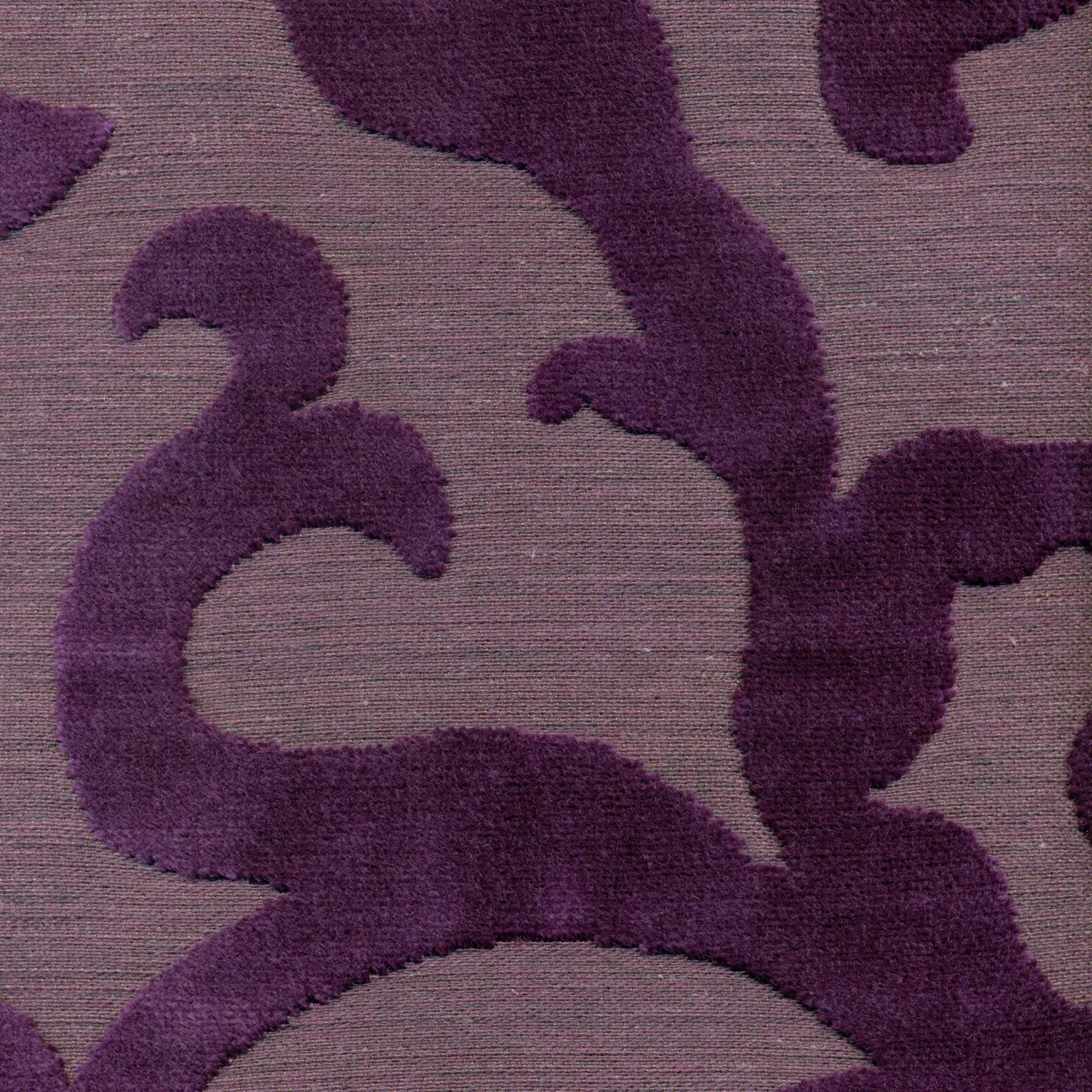 Violet 49 | Ladonna
