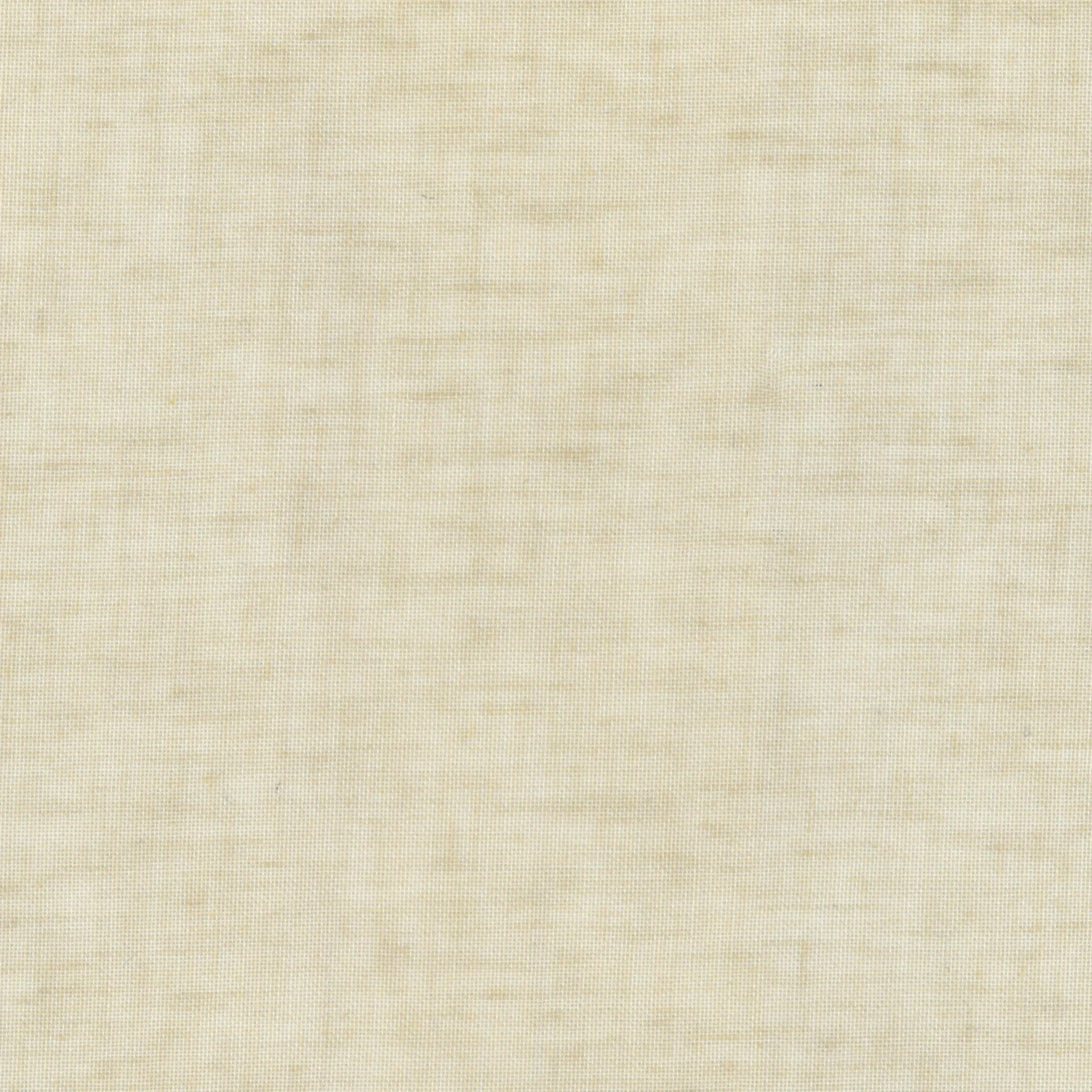 Sesame 04 | Livia