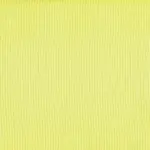 Kiwi 39 | Rita