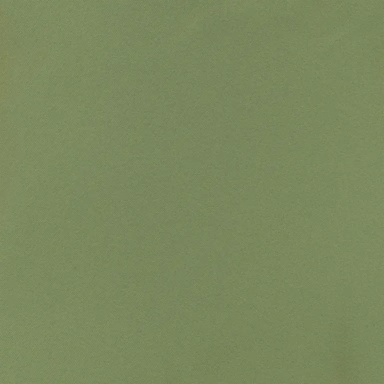 Palm