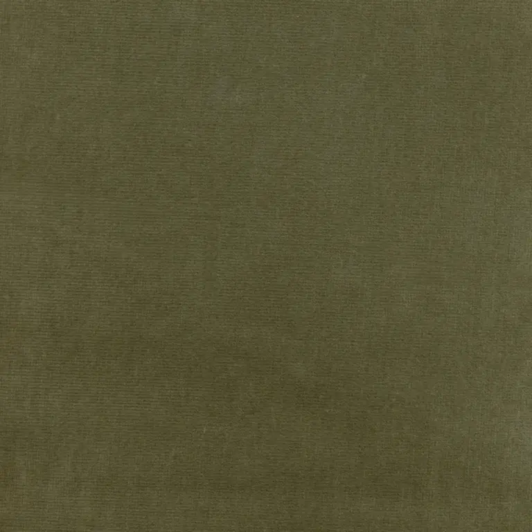 Olive 09