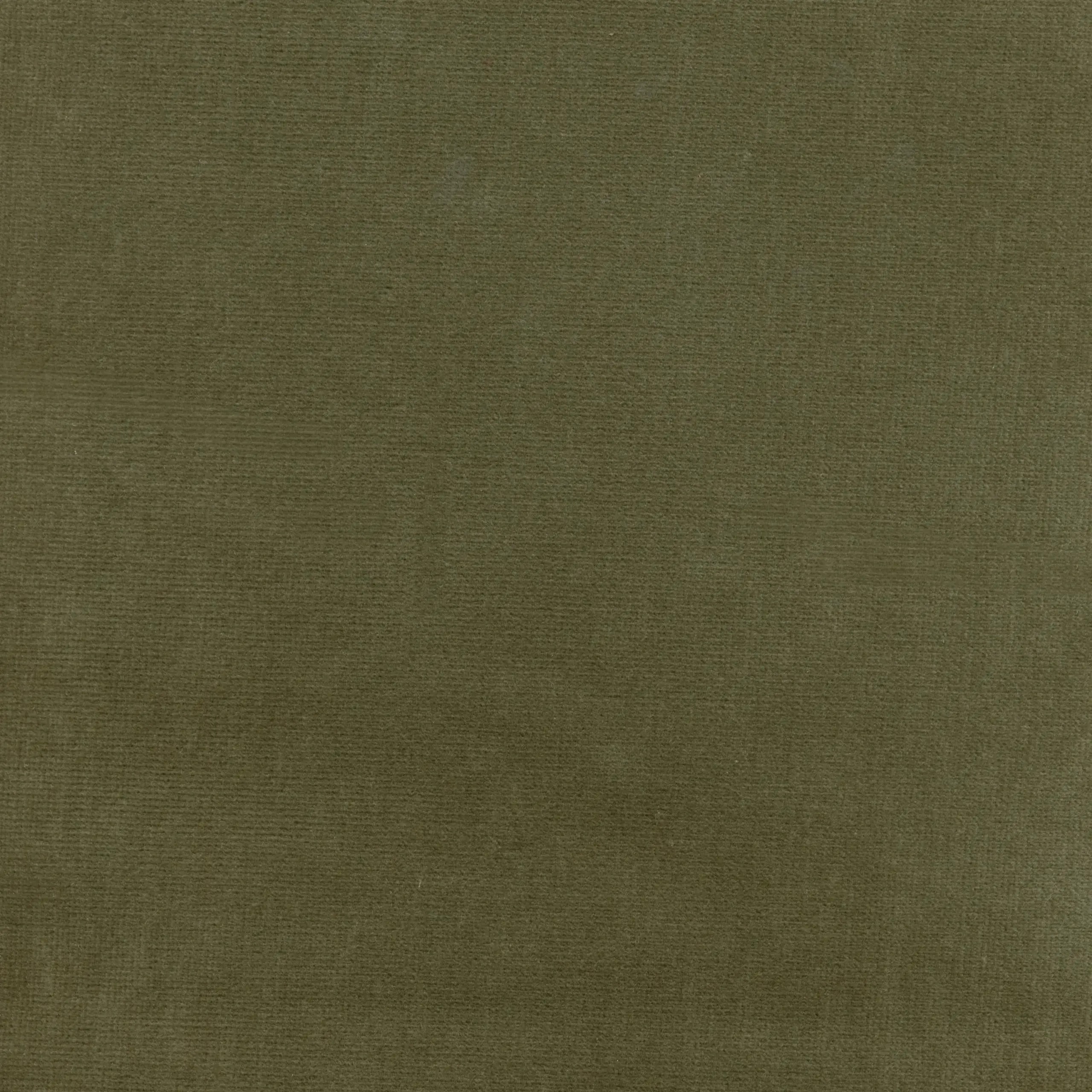 Olive 09 | Yaron
