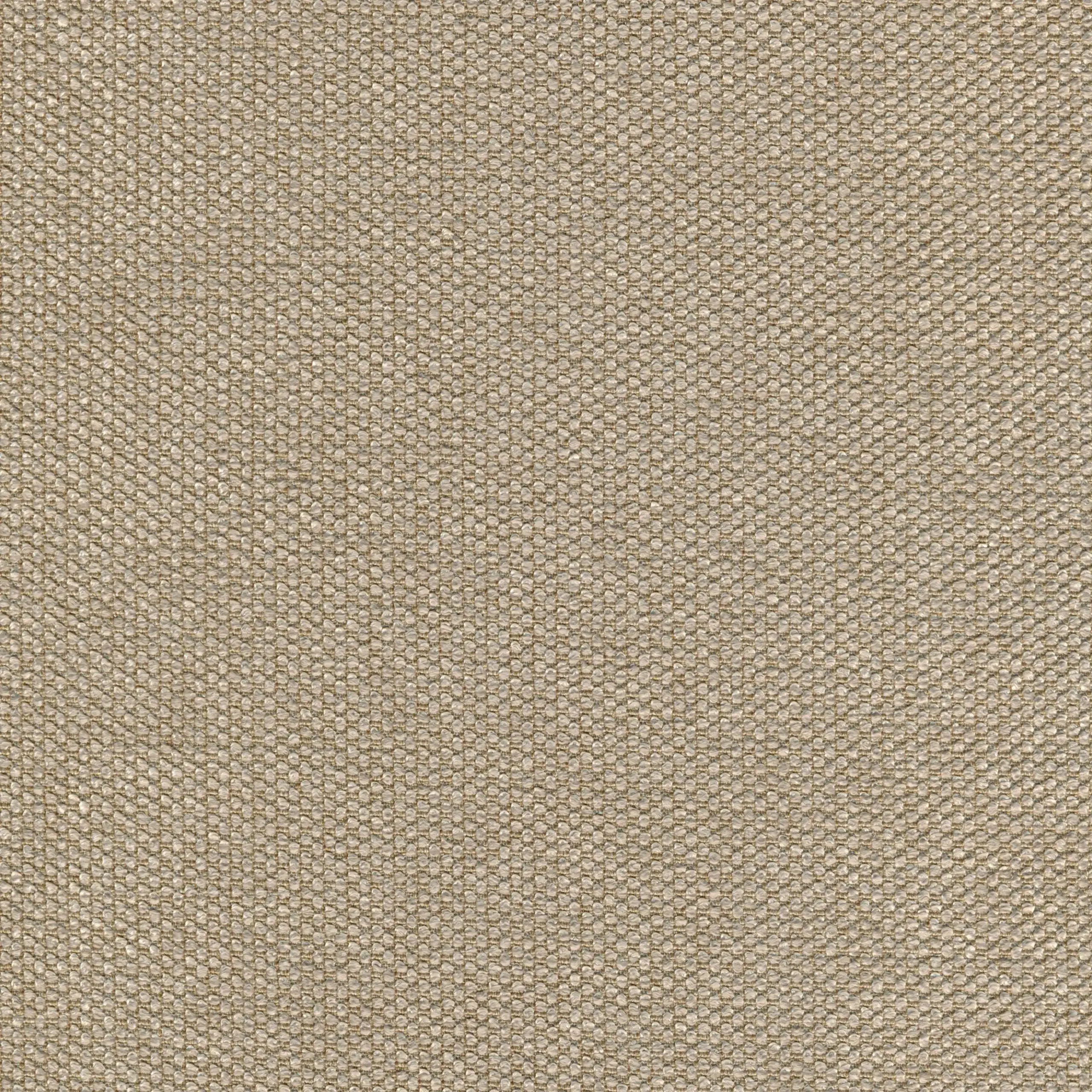 Sesame 07 | Onyx