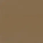 Bronze 19 | Ringo