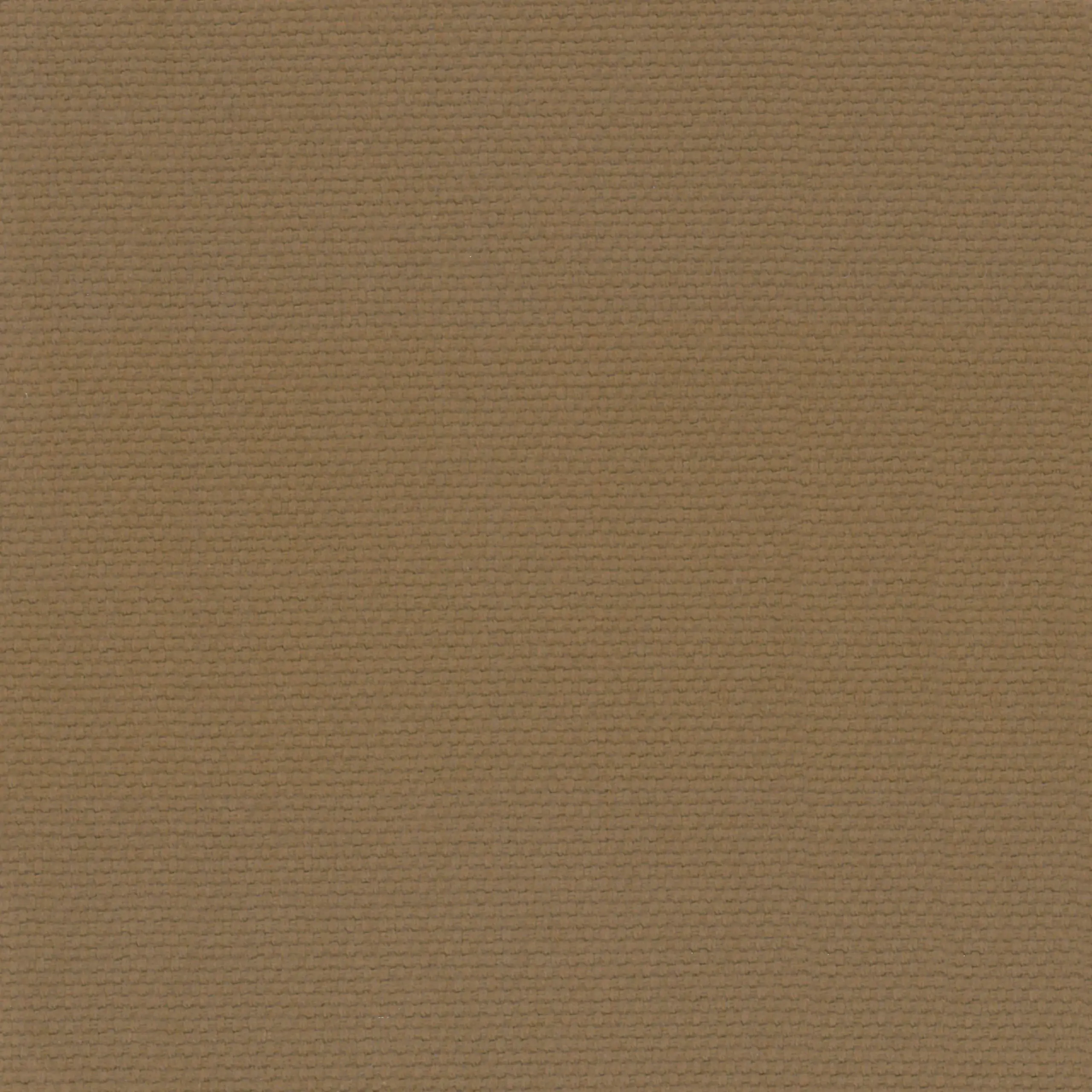 Bronze 19 | Ringo