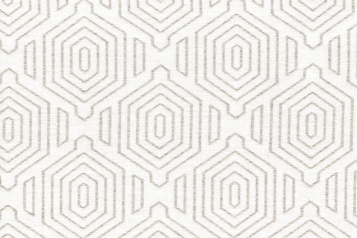White 851 | Rotta
