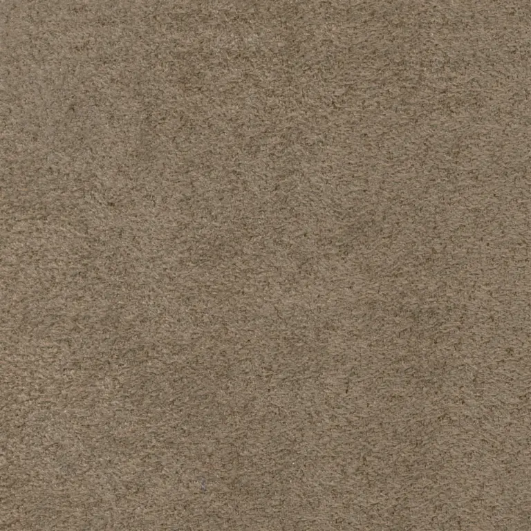 Sesame 123