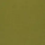 Celery 24 | Roger