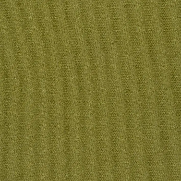 Celery 24 | Roger
