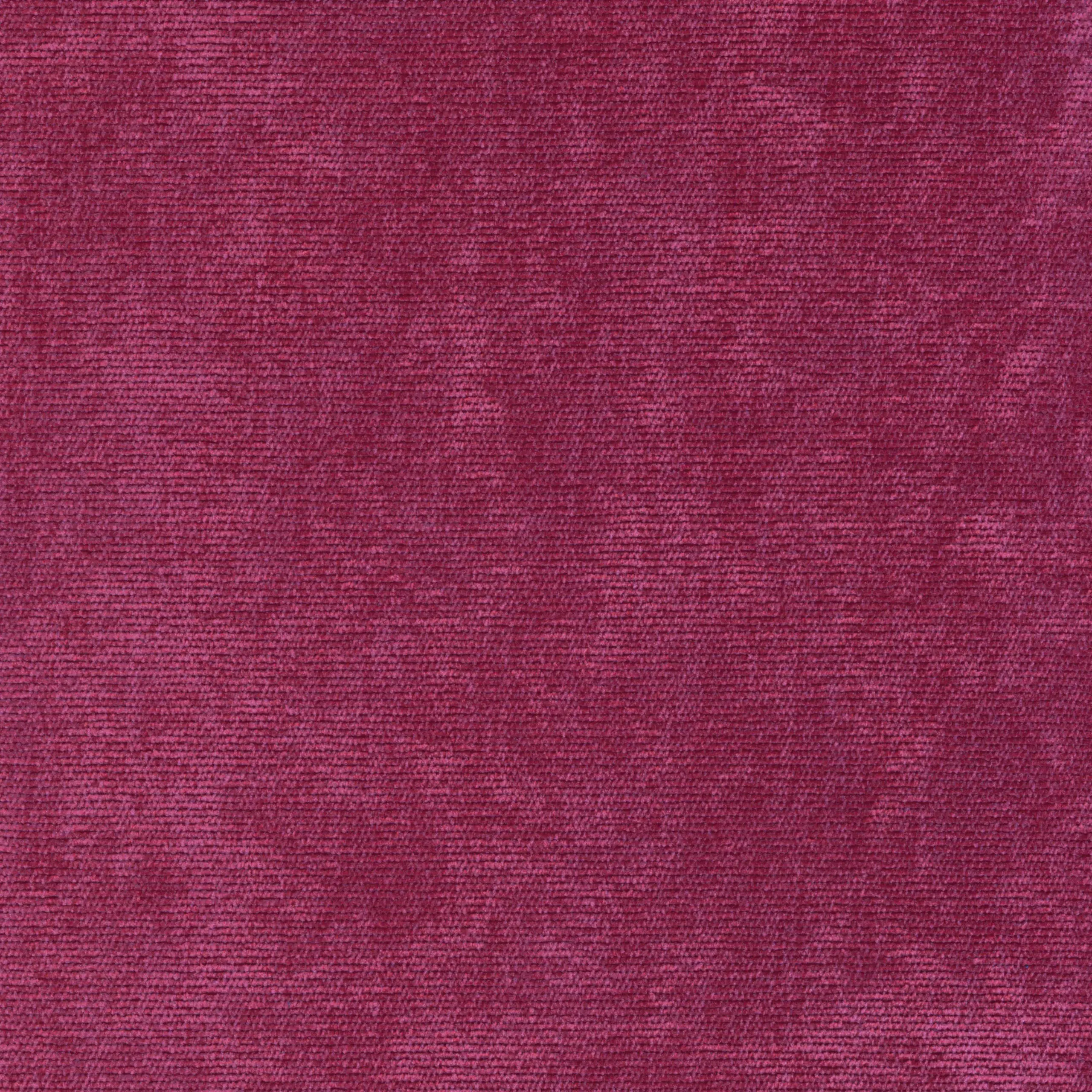 Magenta 27 | Verner