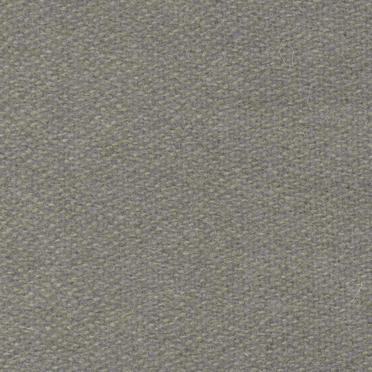 Mist 549 | Savoy FR